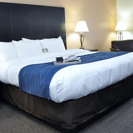 Comfort Inn Oak Ridge - Knoxville Quarto foto