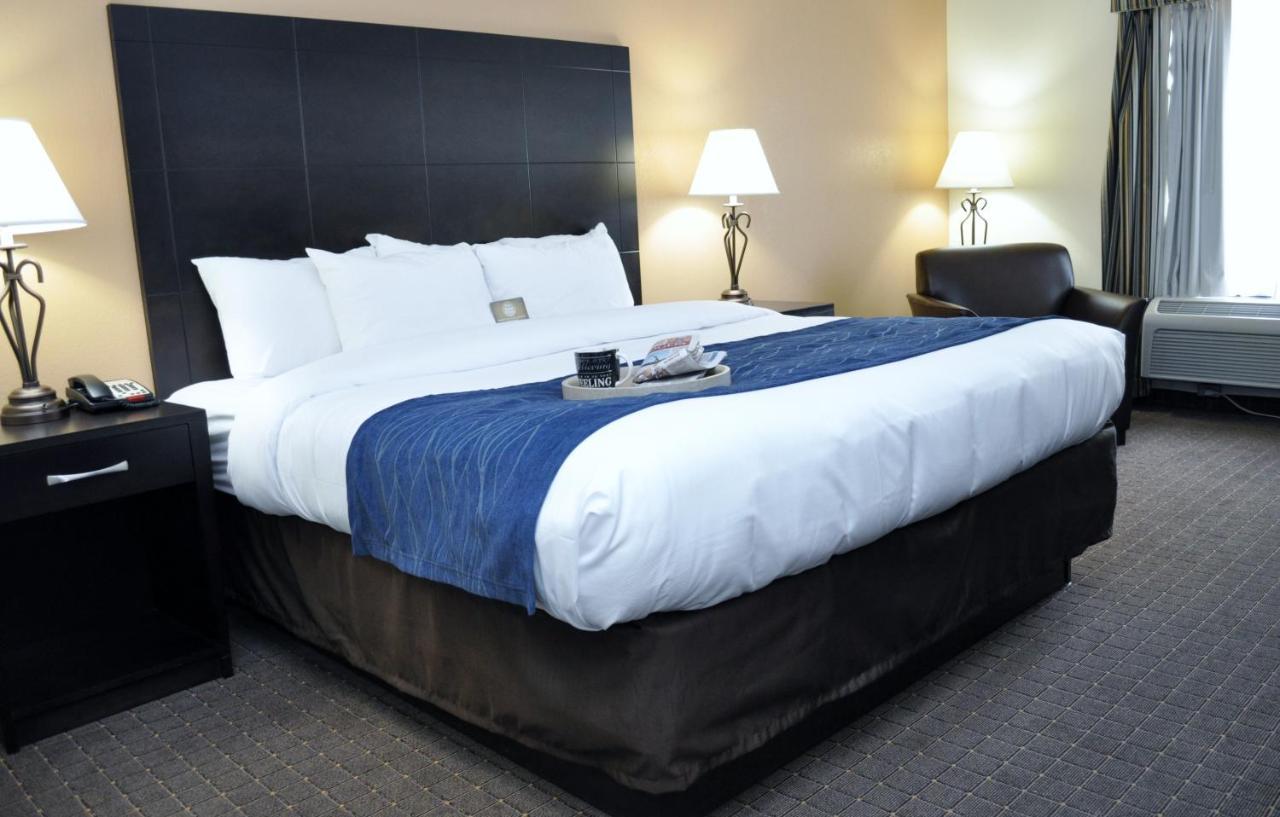 Comfort Inn Oak Ridge - Knoxville Quarto foto