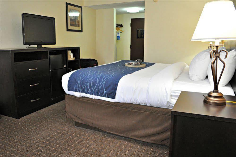 Comfort Inn Oak Ridge - Knoxville Exterior foto